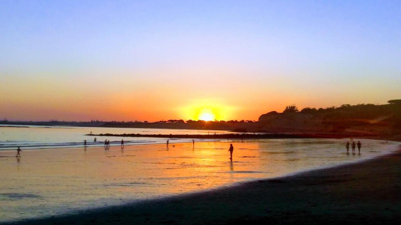 Primera Linea Playa Puerto Santa Maria Vistas Infinitas Limpieza Excepcional Parking 엘푸에르토데산타마리아 외부 사진